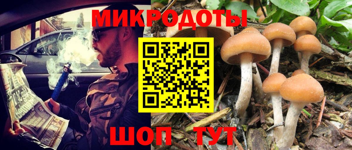 Галлюциногенные грибы Magic Shrooms Дзержинск