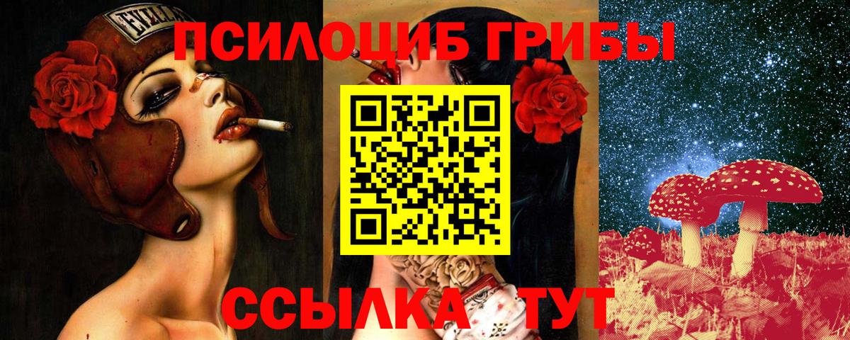 Псилоцибиновые грибы Magic Shrooms  Вход с VPN  Дзержинск  Галлюциногенные грибы GOLDEN TEACHER 